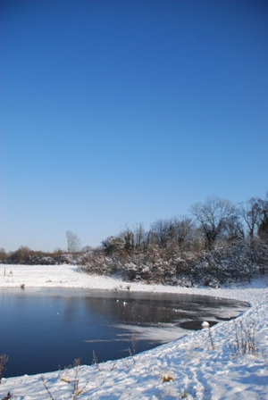 Woodland Park Pond