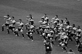 Photo of the All Blacks by Genevieve