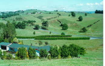 After-sport playground. Farmlet and district, Otorohanga