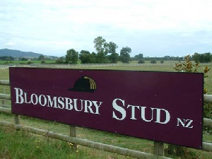 Bloomsbury Stud, Matamata, New Zealand