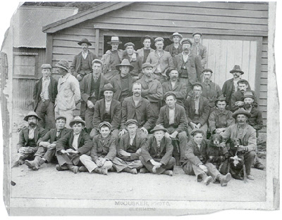 Here is the historic photo of Harry Blake working on the sheep farm in Nelson. He is in the back row, fifth from the left.