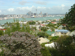 Auckland City from Mt Victoria