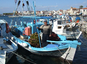 Boats in Aegina harbour