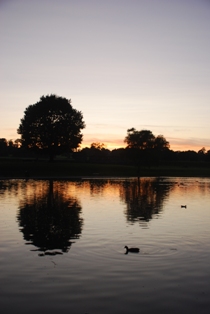 Sunset, Verulamium Park