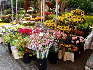 Bloemenmarkt