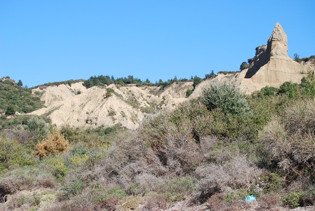 The Sphinx from North Beach.